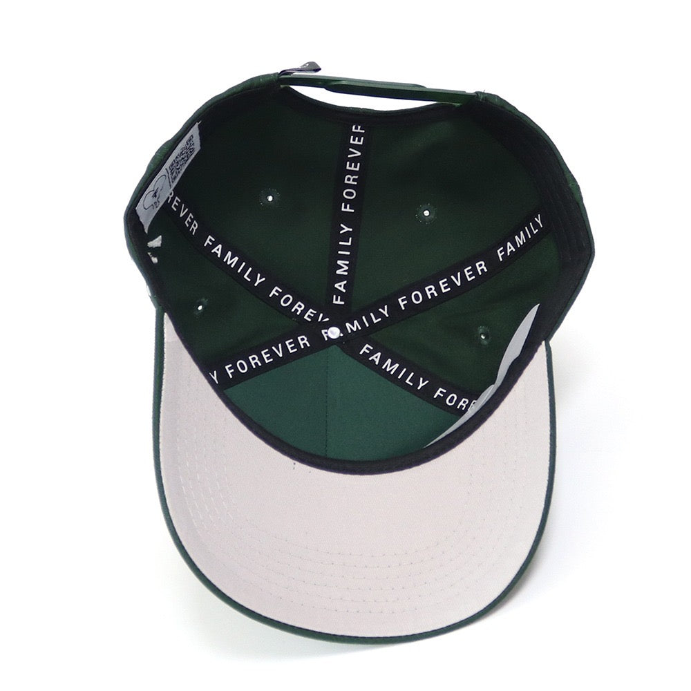 Mirrored F Green