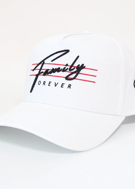 Family Forever Script  image 0